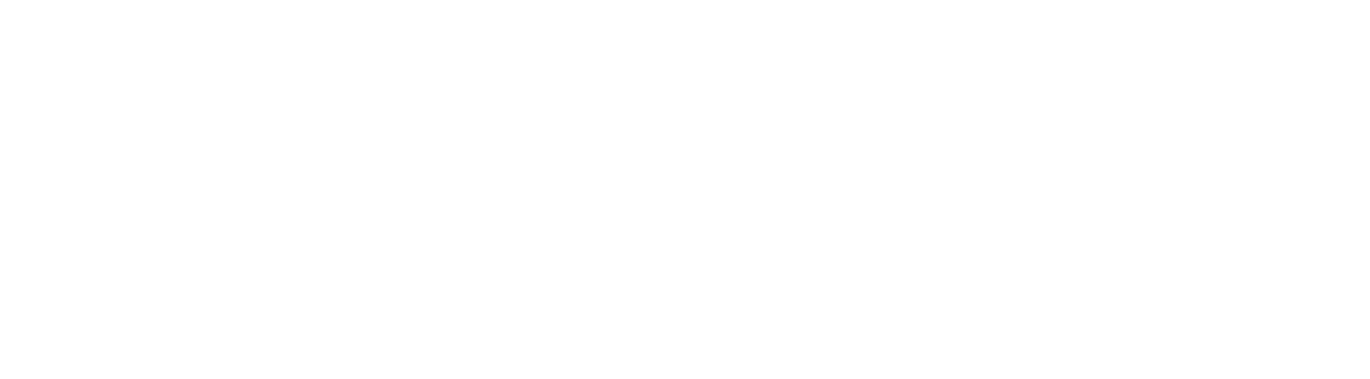 FlyingYZ.com